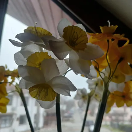 Casa La Moș B&B Tuzla