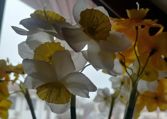 Casa La Moș B&B Tuzla